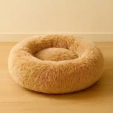 Kedi Minderi - Kuru Temizleme